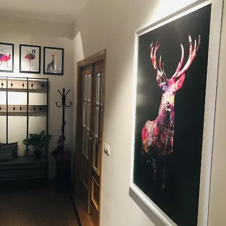 Anova アパート Padrón